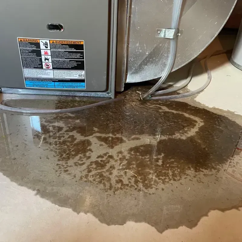 Appliance Leak Cleanup in Franklin County, OH